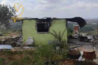 حرق غرفة زراعية في سلفيت على يد مستوطنين