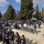 50 ألف يصلون الجمعة في الأقصى