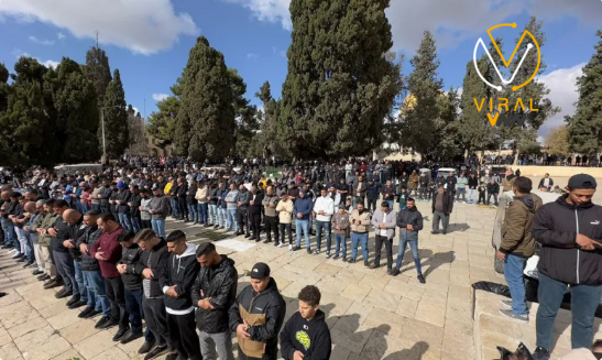 50 ألف يصلون الجمعة في الأقصى