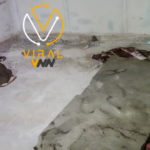 خطة حكومية لتحويل سجن صيدنايا إلى متحف