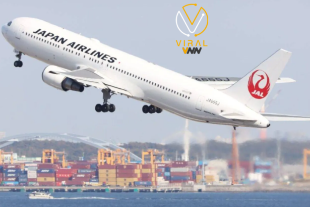 هجوم إلكتروني يستهدف الخطوط الجوية اليابانية
