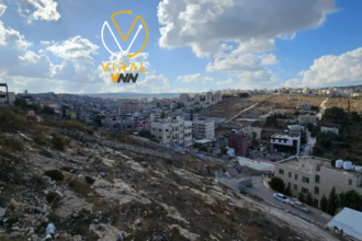 طقس مشمس وبارد حتى يوم السبت