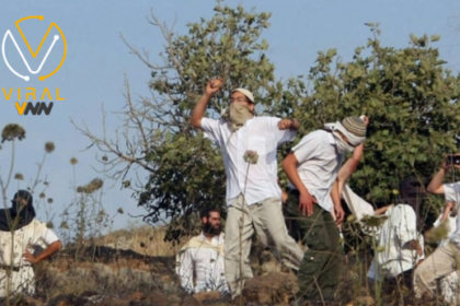 مستوطنون يقومون بتدمير بيوت الشعر وحظائر الأغنام في برقا