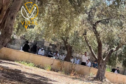 اقتحام مستوطنين لساحات الأقصى