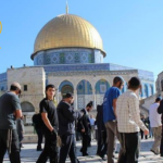 مستوطنون يتسللون إلى المسجد الأقصى