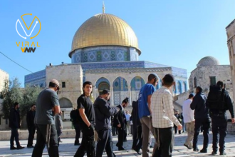 مستوطنون يتسللون إلى المسجد الأقصى