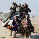 مصر تؤكد رفضها القاطع لنقل أو تهجير الفلسطينيين