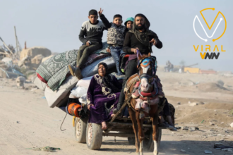 مصر تؤكد رفضها القاطع لنقل أو تهجير الفلسطينيين