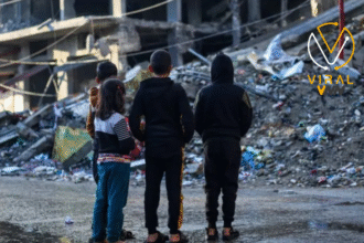 52 شهيداً و262 جريحاً في يوم واحد بقطاع غزة