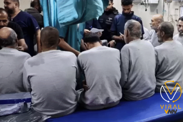 الإفراج عن 5 أسرى من غزة ووصولهم لمستشفى الأقصى في دير البلح